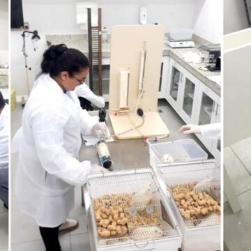 Conhecimento a todo vapor: grupo formado por professores e alunos dá início a pesquisas no Biotério do UNIFAGOC