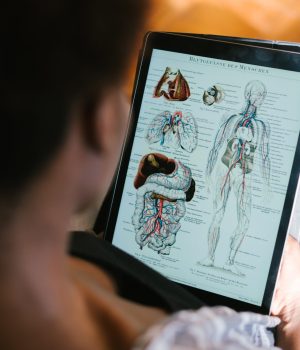 Tem diploma na área da saúde? Saiba como sua formação pode ajudar no curso de Medicina